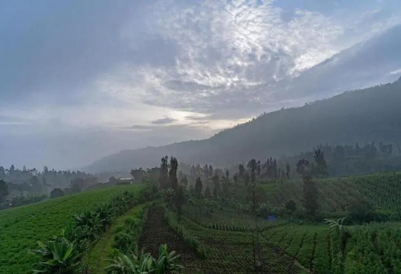 Quarto Familiar, Fredelia Homestay