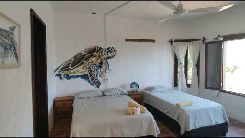 Deluxe Zimmer, Quinto Sol