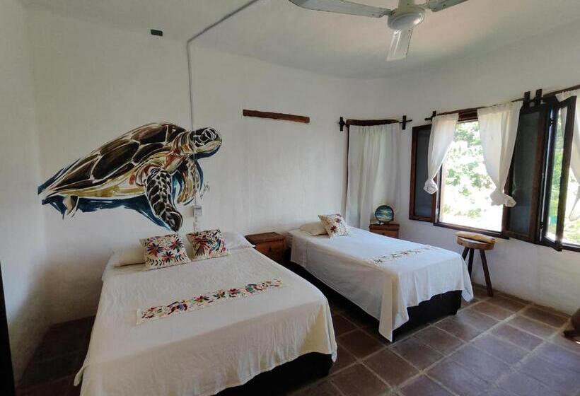 Deluxe Zimmer, Quinto Sol