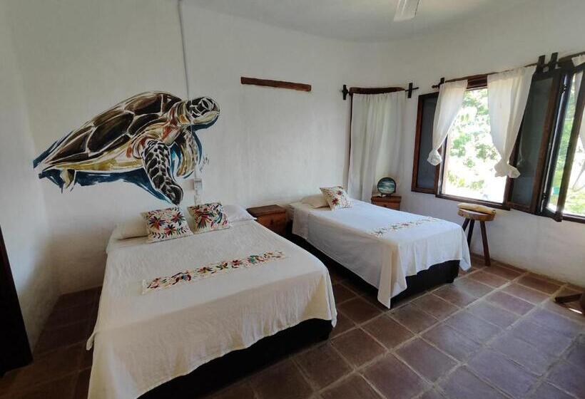 Deluxe Zimmer, Quinto Sol