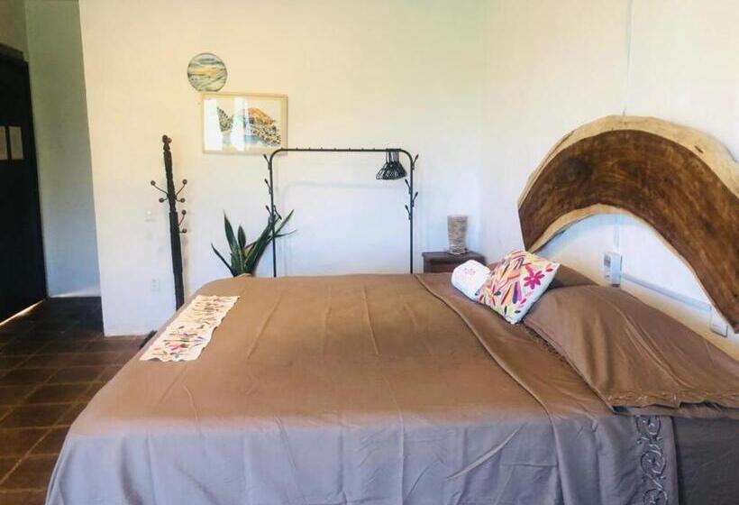 Deluxe Zimmer, Quinto Sol