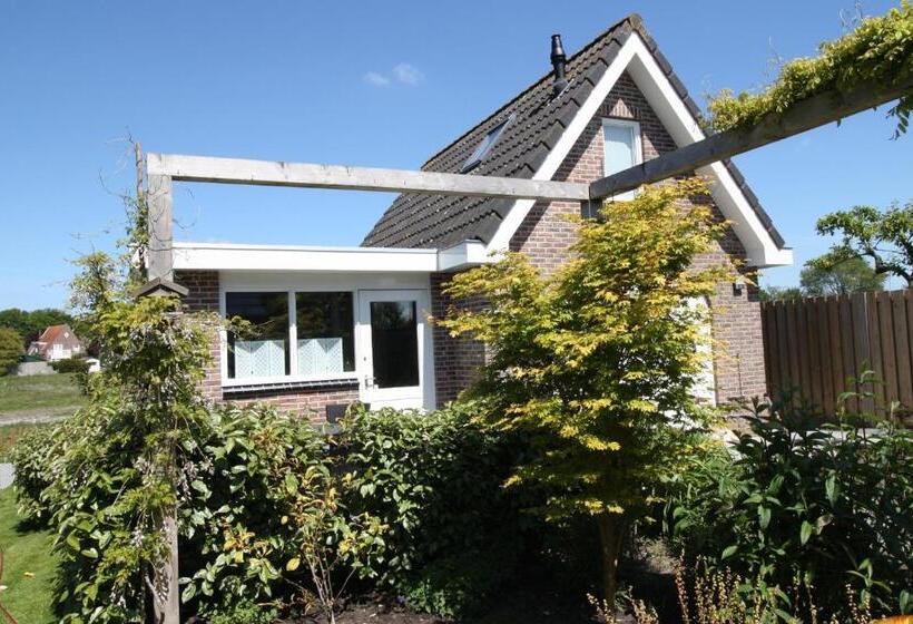 غرفة قياسية مزوَّدة بتراس, B&b Kleine Vliet