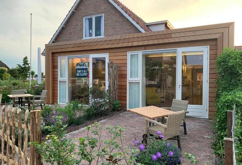 Студио Стандарт с Террасой, Dorpslogies Adema