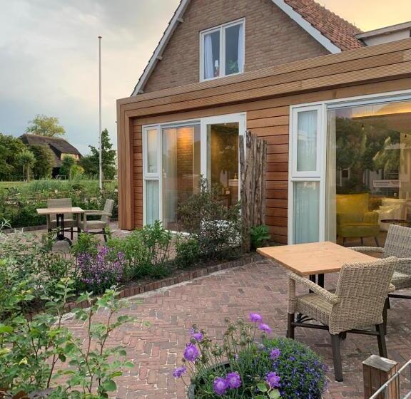 Студио Стандарт с Террасой, Dorpslogies Adema