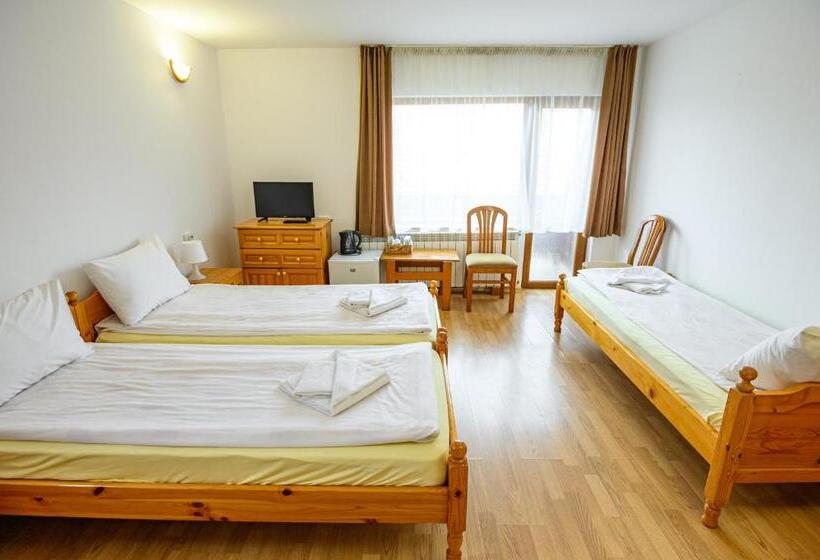 スタンダードトリプルルーム, Guest House 7