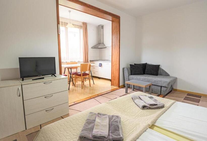 デラックススタジオ, Guest House 7