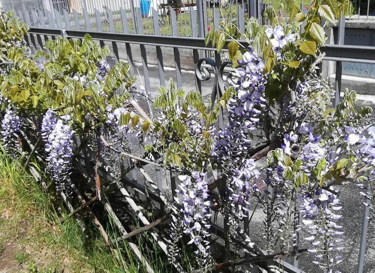 חדר אקונומי, La Moia