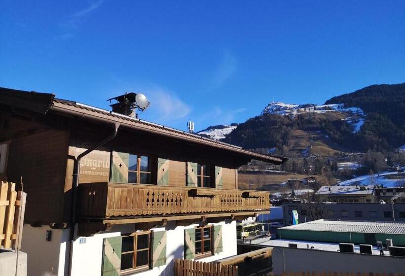 آپارتمان 1 خوابه همکف, Haus Ingrid