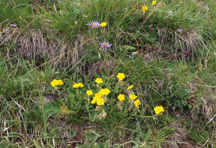 سوئیت 2 خوابه, Chalet Le Cordava