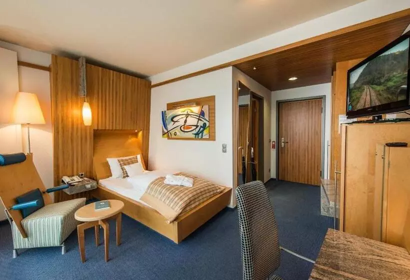 Standard Yhden Hengen Huone, Göbels Schlosshotel Prinz Von Hessen