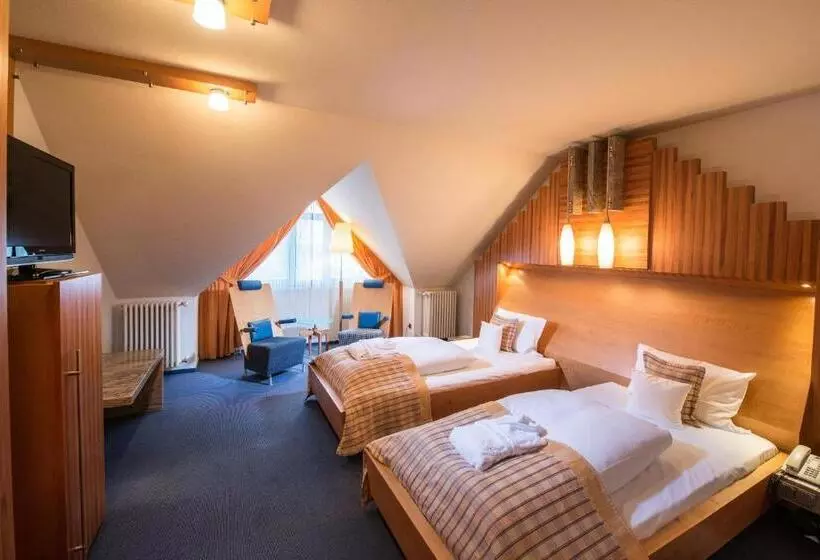 Standard-huone, Göbels Schlosshotel Prinz Von Hessen