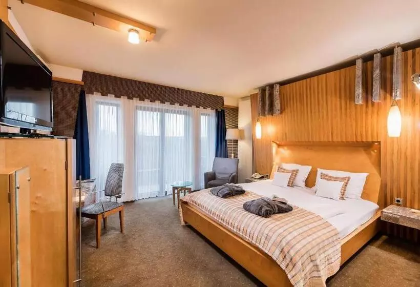 Standard-huone, Göbels Schlosshotel Prinz Von Hessen