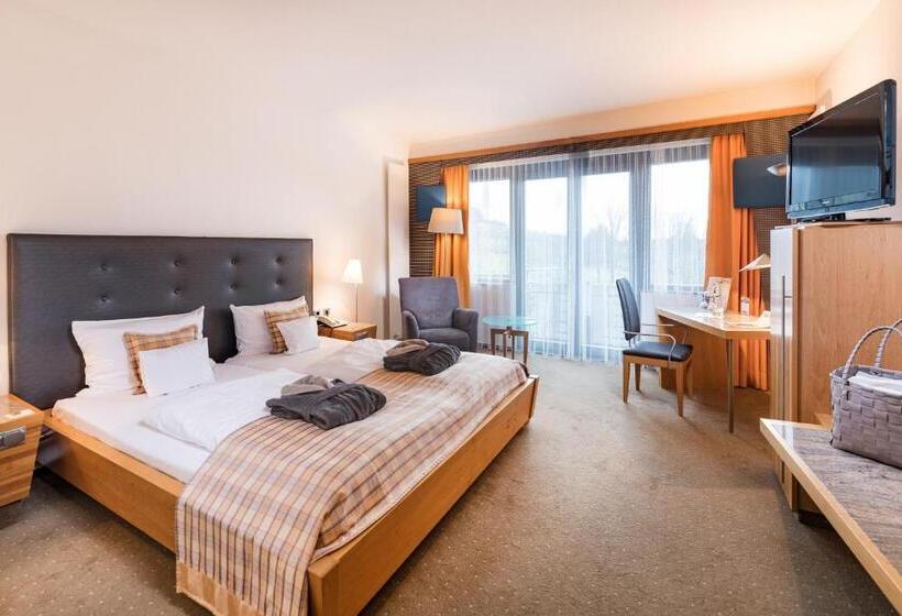 חדר סטנדרט, Göbels Schlosshotel Prinz Von Hessen