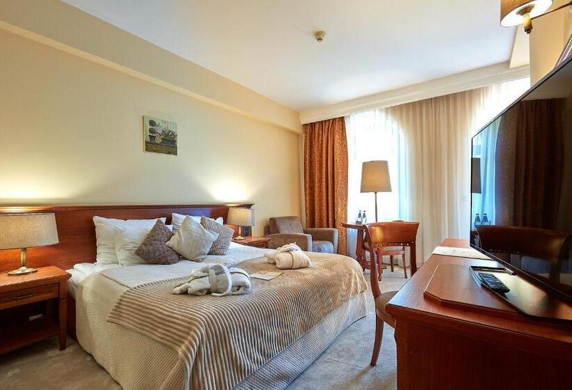 اتاق استاندارد, Grand Hotel Stamary