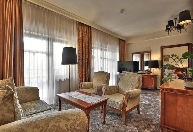 آپارتمان 1 خوابه با بالکن, Grand Hotel Stamary