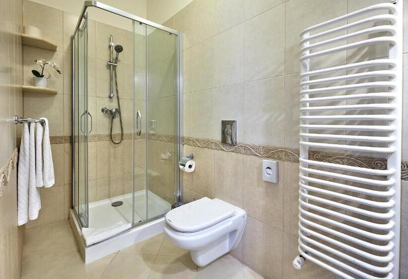 آپارتمان 1 خوابه با بالکن, Grand Hotel Stamary