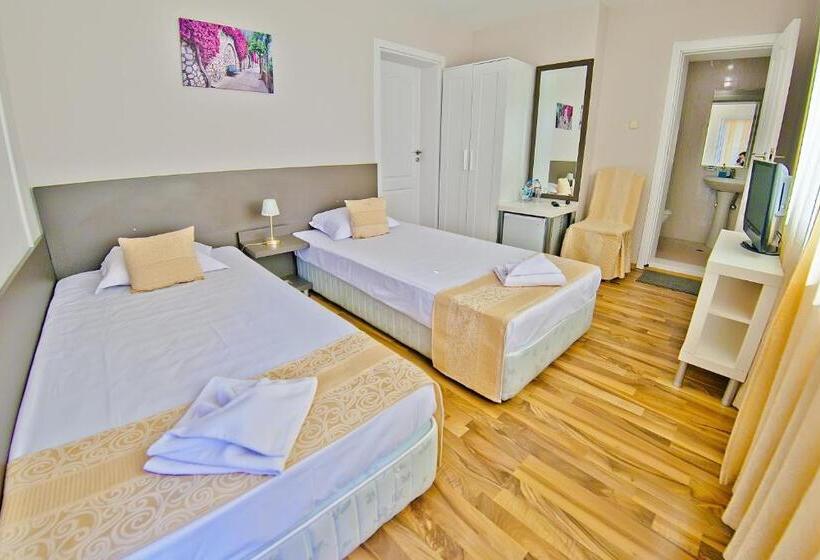 스탠다드 룸, Amfora