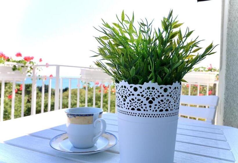 스탠다드 룸, Amfora