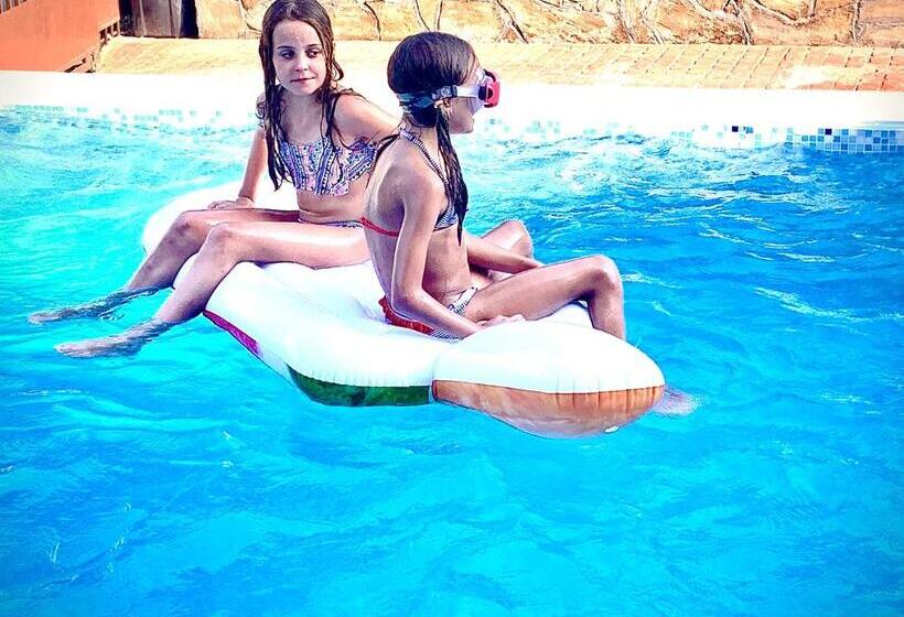 이코노미 룸, Amfora