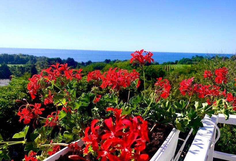 스탠다드 룸, Amfora