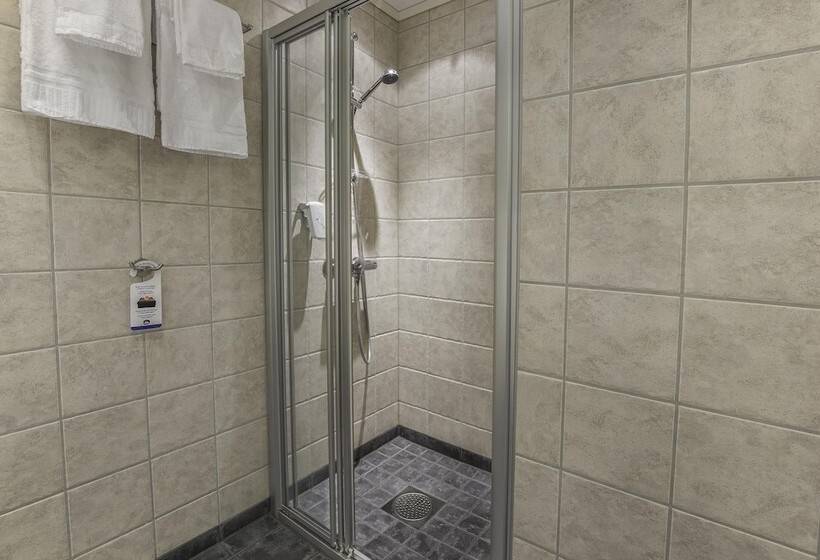 Номер Стандарт Двуспальная Кровать, Best Western Leto Arena