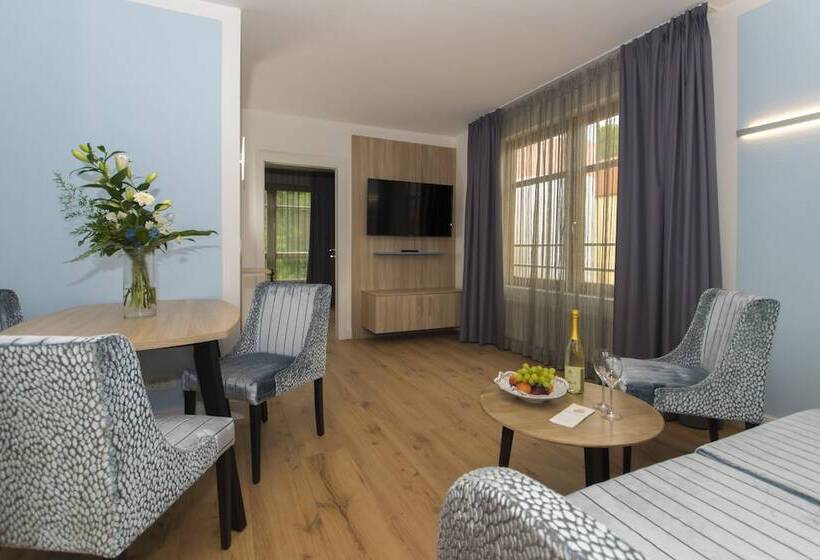 침실 1개 아파트, Cliff Hotel Rügen