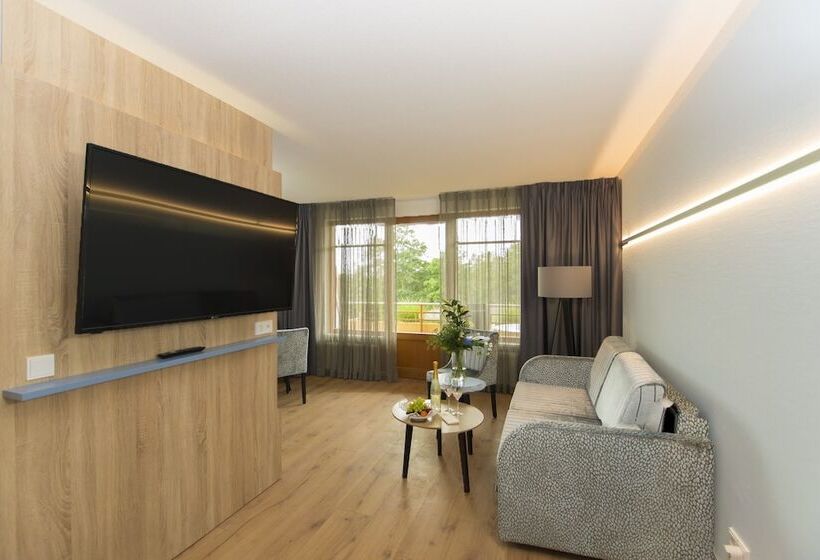 침실 1개 아파트, Cliff Hotel Rügen