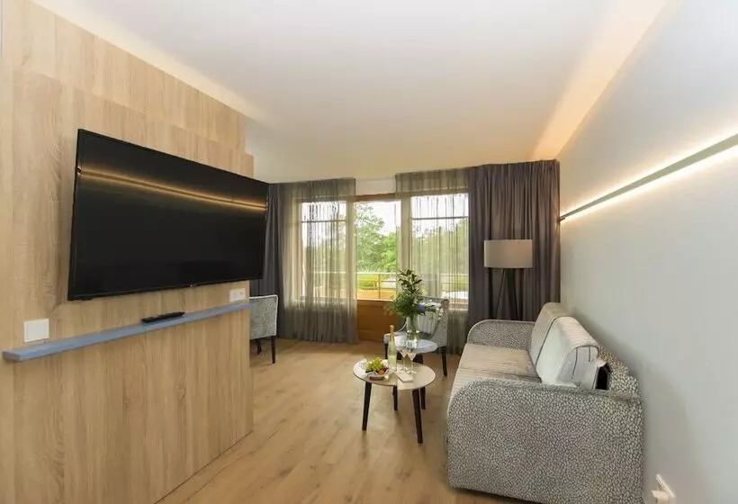 １ベッドルームアパートメント, Cliff Hotel Rügen
