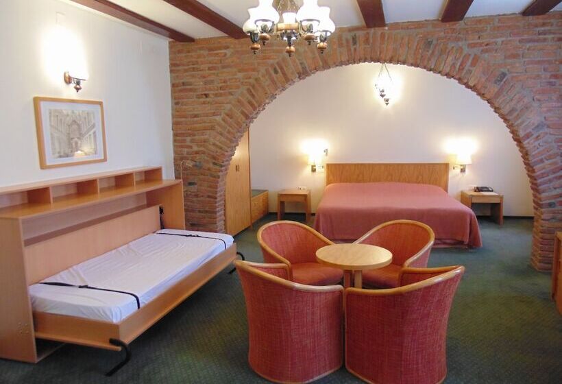 Номер Стандарт Трехместный, Curtea Brasoveana