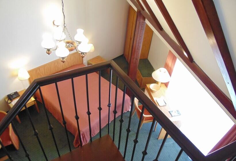 Полулюкс, Curtea Brasoveana