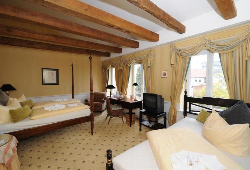 스탠다드 싱글 룸, Niederlandischer Hof