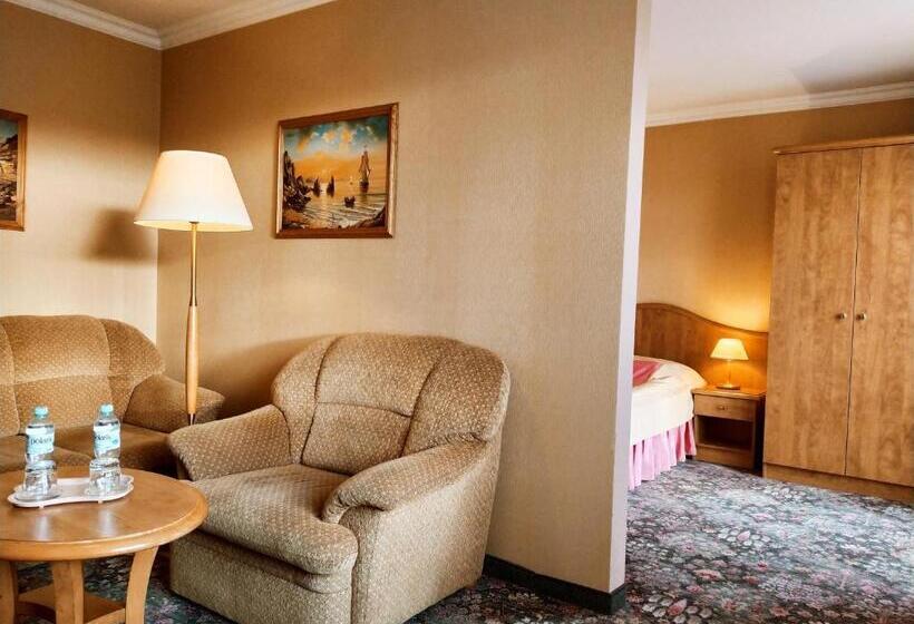 Студия Стандарт, Polaris