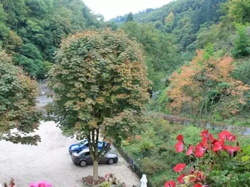اتاق اکونومی, Winneburg