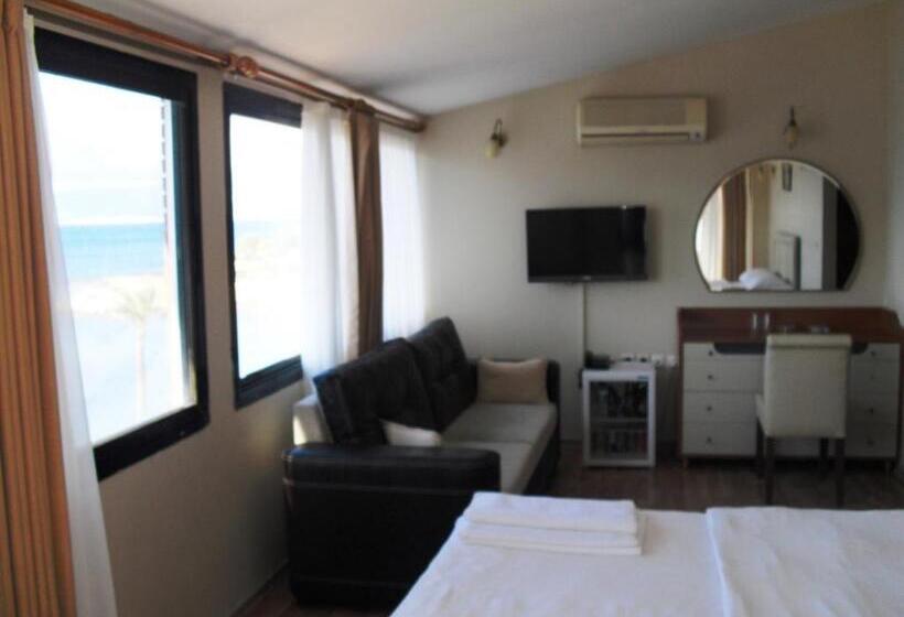 סוויטה עם טרסה, Kerman Hotel