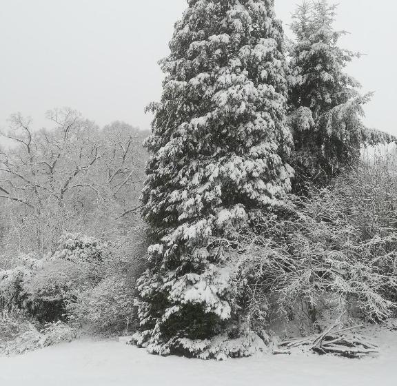 2间卧室的房子, Chambres La Belle Vue