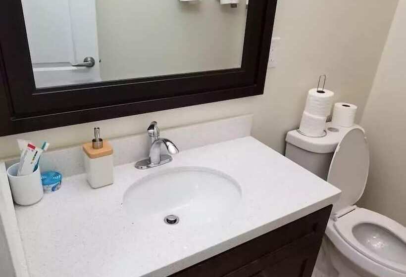 Családi Szoba, Private Rooms, Free Parking, Full Kitchen, Best Prices In Town  York University Heights