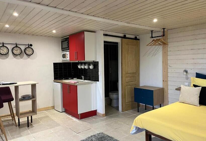 Standard studio with lake view, Maxilly Appart