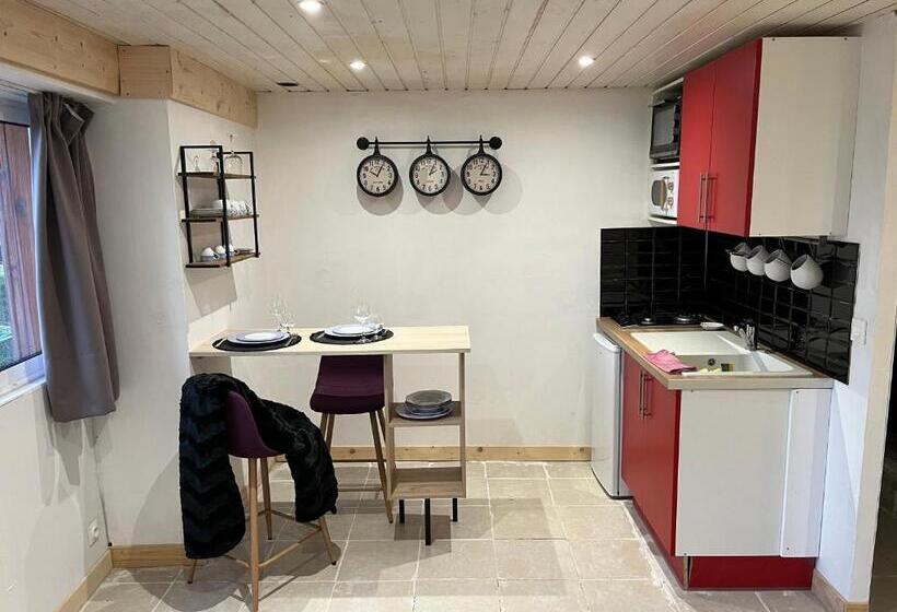 Standard studio with lake view, Maxilly Appart