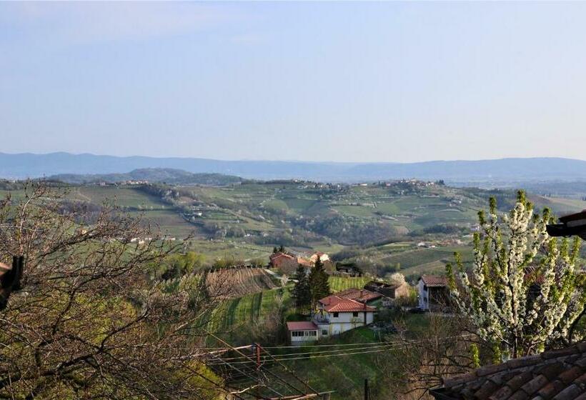 استودیو استاندارد با بالکن, Pri Marjotu