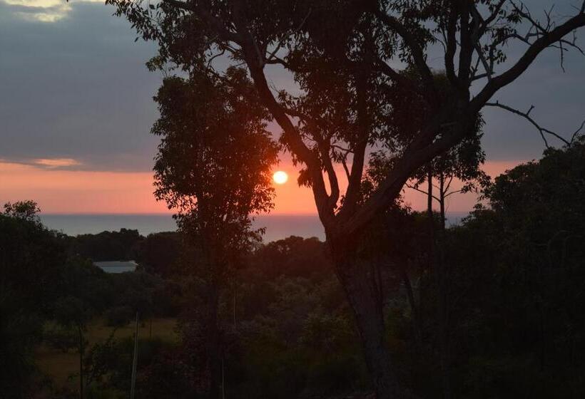 חדר דלוקס נוף לים, Eagle Bay House