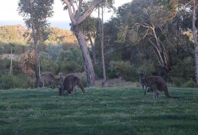 חדר דלוקס, Eagle Bay House