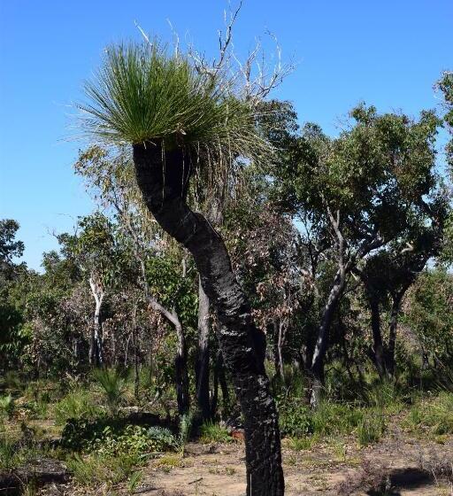 חדר דלוקס נוף לים, Eagle Bay House