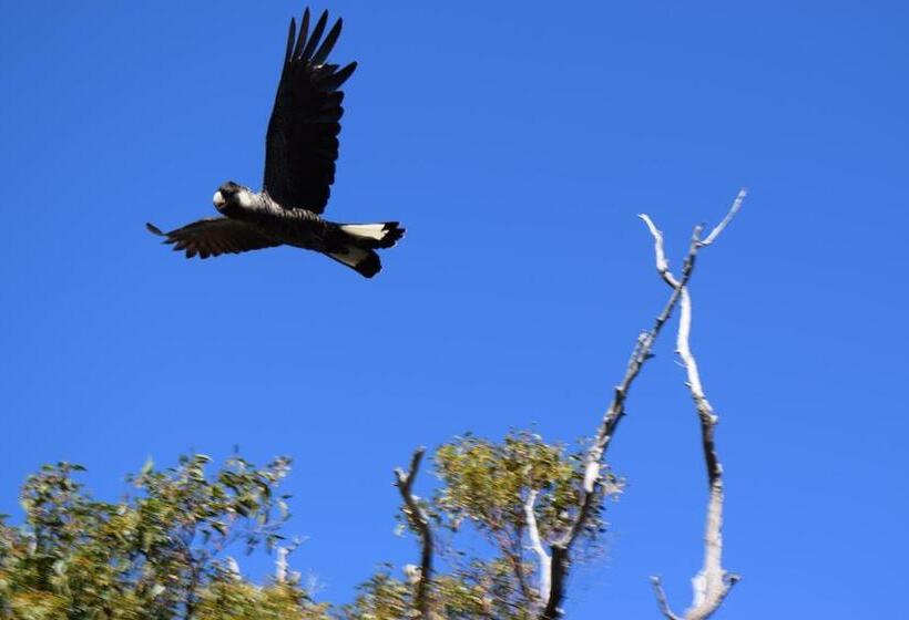 חדר דלוקס נוף לים, Eagle Bay House