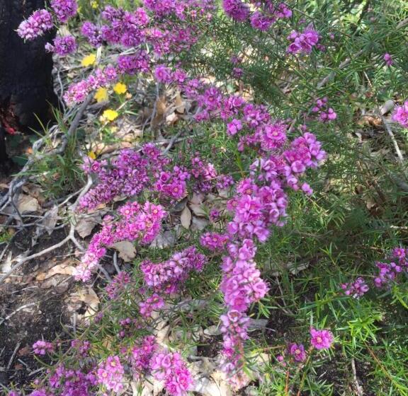 חדר דלוקס, Eagle Bay House