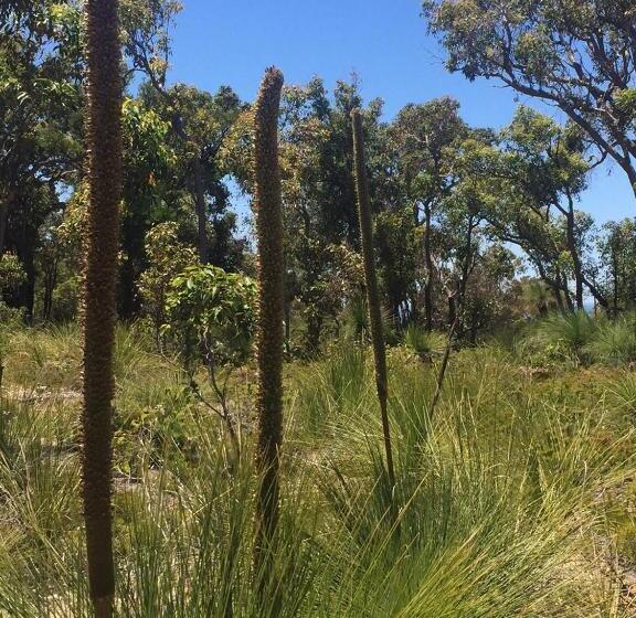 חדר דלוקס, Eagle Bay House