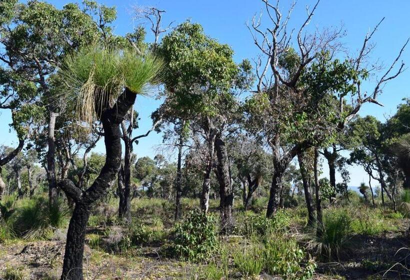 חדר דלוקס, Eagle Bay House