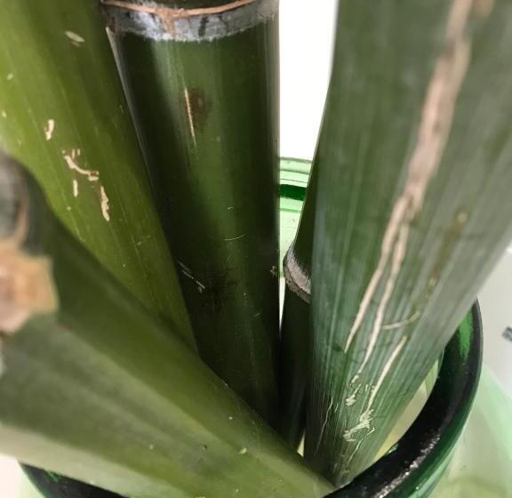 컴포트 트리플 룸, La Volta Rooms Locazione Turistica