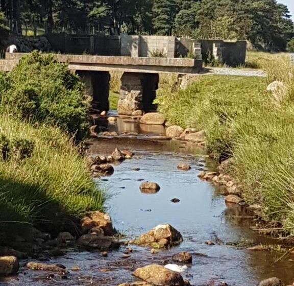 Апартаменты Superior 1 Спальня, Forest Path Luxury Studio Apartment With Large Bedroom Bathroom And Sauna Sleeps Up To 4