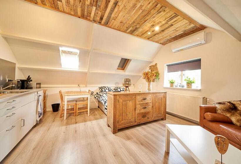 استودیوی استاندارد, B B Huize Hooijer