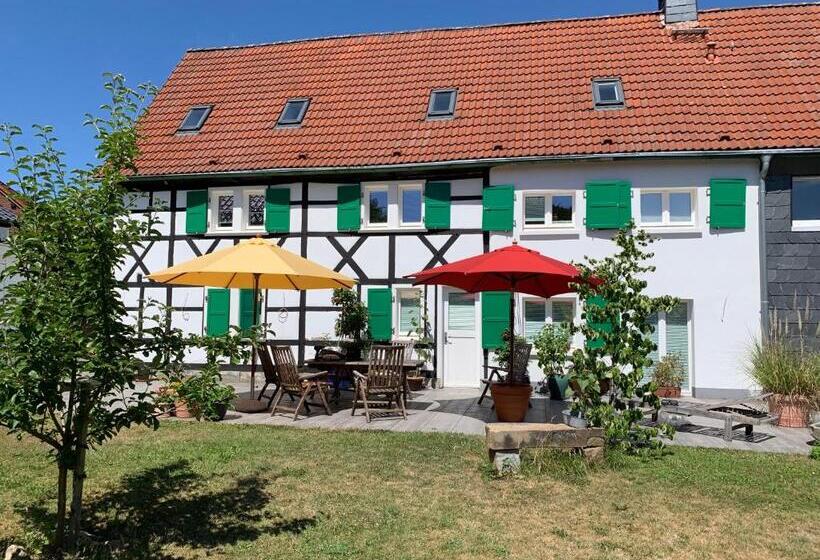 Номер Стандарт, Buxhaus